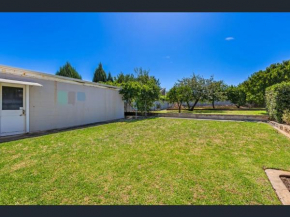 Botanic Bliss in Magill, Norwood